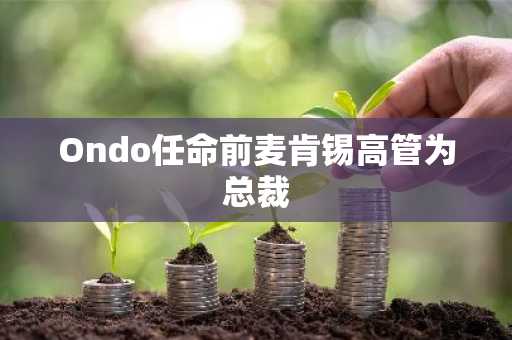 Ondo任命前麦肯锡高管为总裁