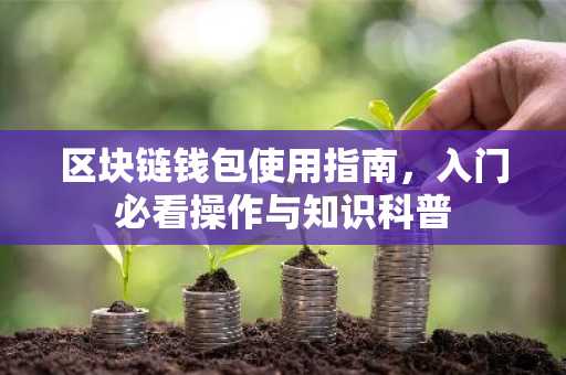 区块链钱包使用指南，入门必看操作与知识科普