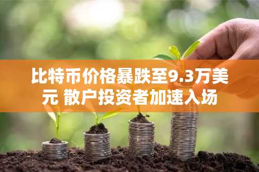 比特币价格暴跌至9.3万美元 散户投资者加速入场