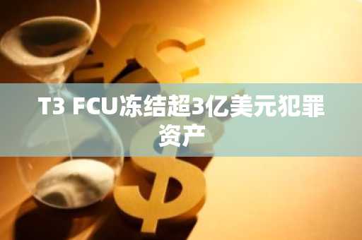 T3 FCU冻结超3亿美元犯罪资产