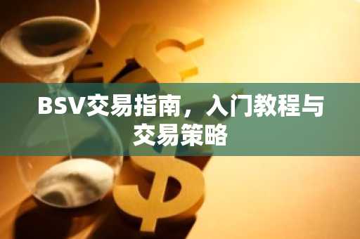 BSV交易指南，入门教程与交易策略