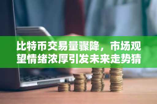 比特币交易量骤降，市场观望情绪浓厚引发未来走势猜测