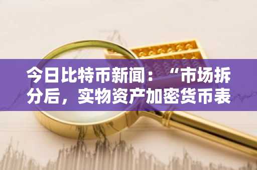 今日比特币新闻：“市场拆分后，实物资产加密货币表现优于投机性代币”