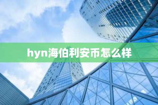hyn海伯利安币怎么样