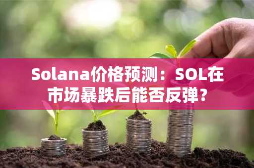Solana价格预测：SOL在市场暴跌后能否反弹？