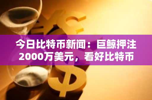 今日比特币新闻：巨鲸押注2000万美元，看好比特币近期反弹