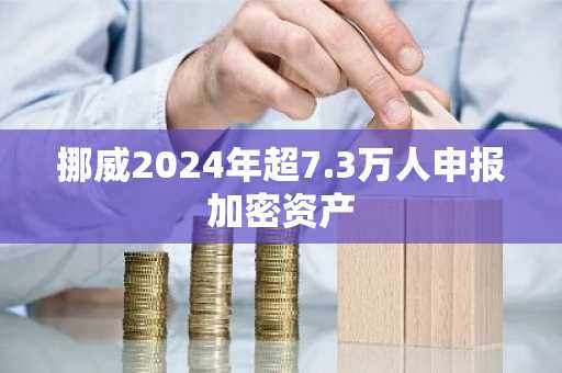 挪威2024年超7.3万人申报加密资产