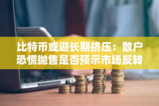 比特币或迎长期挤压：散户恐慌抛售是否预示市场反转？