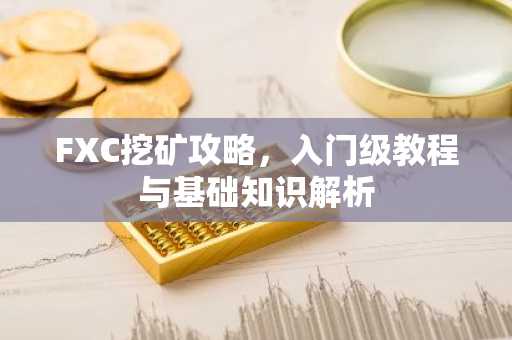 FXC挖矿攻略，入门级教程与基础知识解析