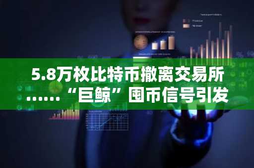 5.8万枚比特币撤离交易所……“巨鲸”囤币信号引发市场反弹预期