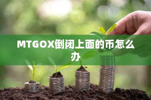 MTGOX倒闭上面的币怎么办
