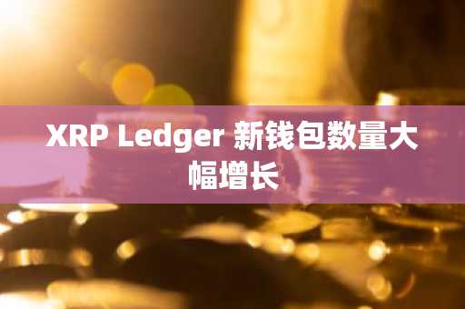 XRP Ledger 新钱包数量大幅增长