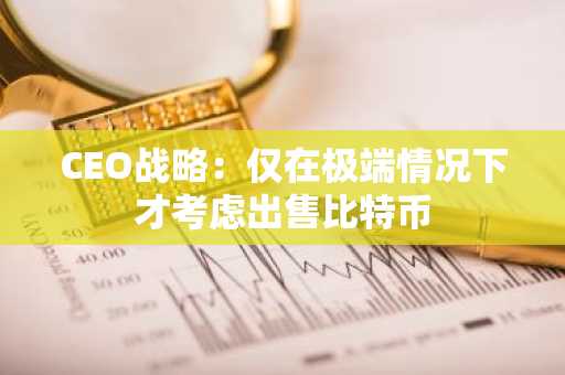 CEO战略：仅在极端情况下才考虑出售比特币
