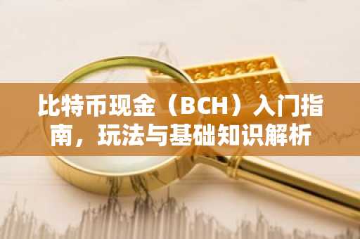 比特币现金（BCH）入门指南，玩法与基础知识解析