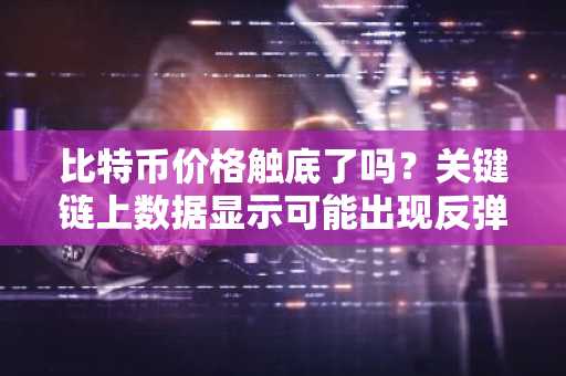 比特币价格触底了吗？关键链上数据显示可能出现反弹