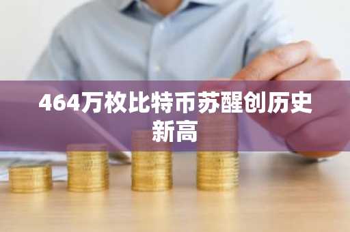 464万枚比特币苏醒创历史新高