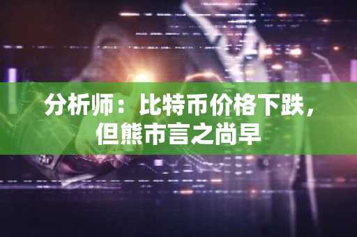 分析师：比特币价格下跌，但熊市言之尚早