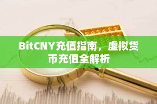 BitCNY充值指南，虚拟货币充值全解析