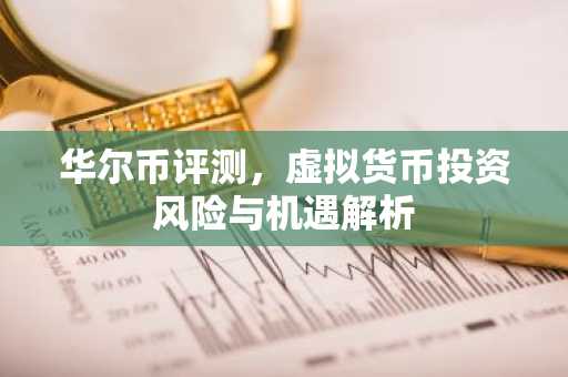 华尔币评测，虚拟货币投资风险与机遇解析