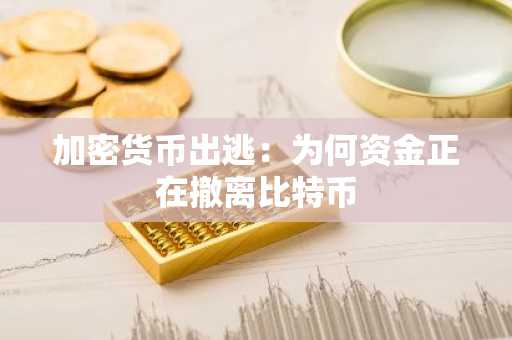 加密货币出逃：为何资金正在撤离比特币