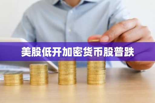 美股低开加密货币股普跌