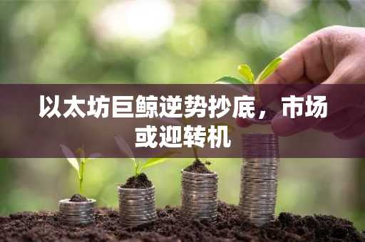 以太坊巨鲸逆势抄底，市场或迎转机