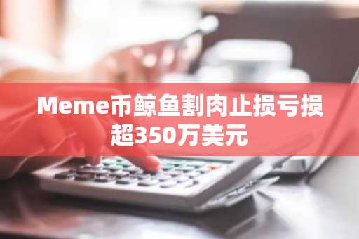 Meme币鲸鱼割肉止损亏损超350万美元