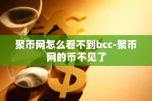 聚币网怎么看不到bcc-聚币网的币不见了