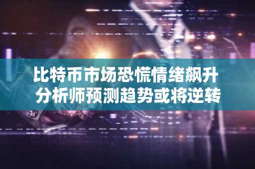 比特币市场恐慌情绪飙升 分析师预测趋势或将逆转