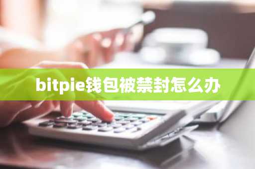 bitpie钱包被禁封怎么办