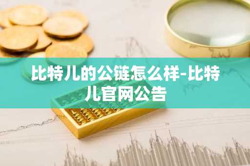 比特儿的公链怎么样-比特儿官网公告
