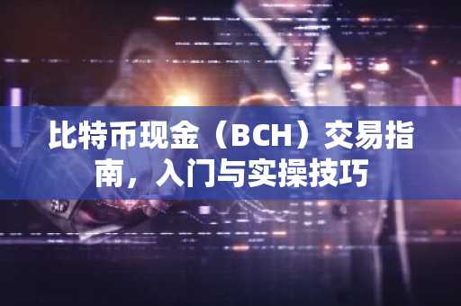 比特币现金（BCH）交易指南，入门与实操技巧