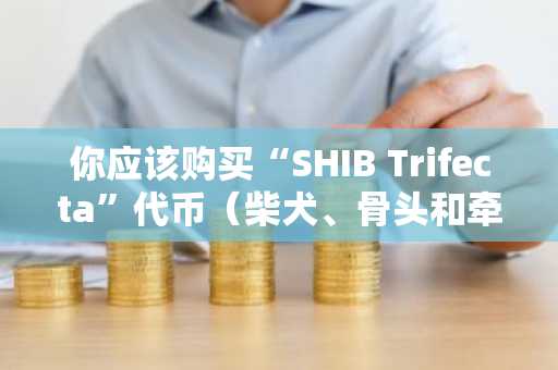 你应该购买“SHIB Trifecta”代币（柴犬、骨头和牵引绳）吗？