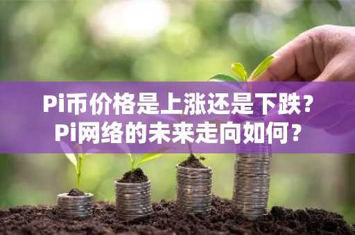 Pi币价格是上涨还是下跌？Pi网络的未来走向如何？