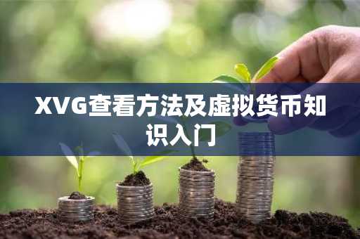 XVG查看方法及虚拟货币知识入门