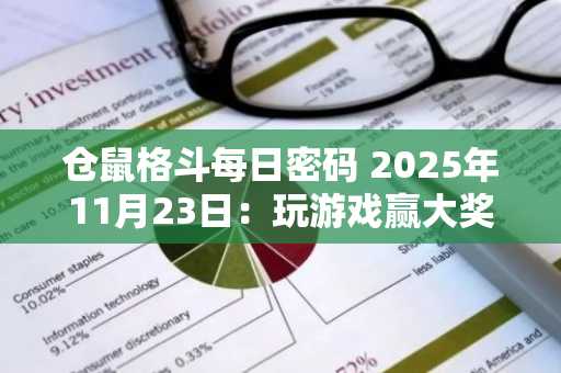仓鼠格斗每日密码 2025年11月23日：玩游戏赢大奖