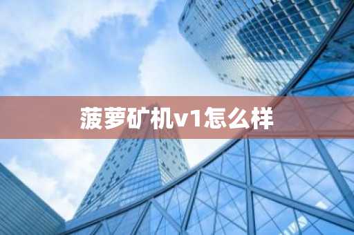 菠萝矿机v1怎么样