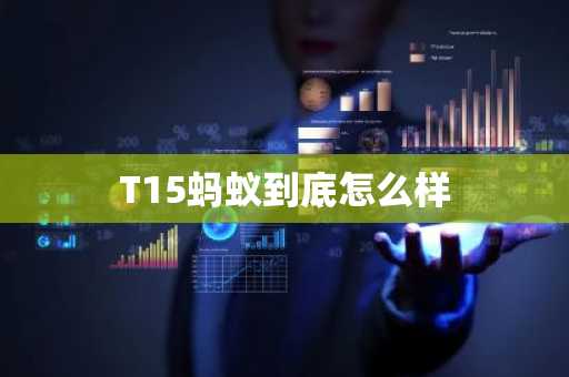 T15蚂蚁到底怎么样