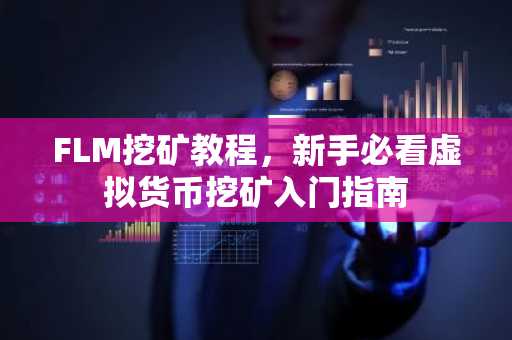 FLM挖矿教程，新手必看虚拟货币挖矿入门指南
