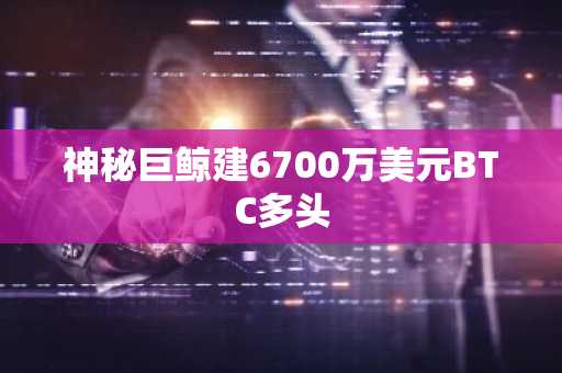 神秘巨鲸建6700万美元BTC多头