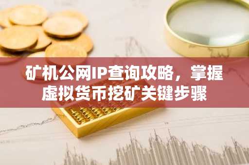 矿机公网IP查询攻略，掌握虚拟货币挖矿关键步骤