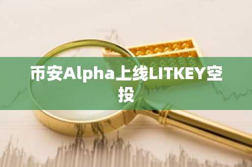 币安Alpha上线LITKEY空投