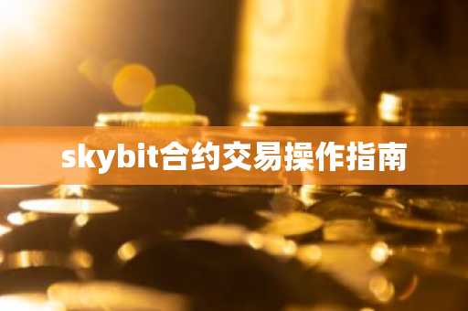 skybit合约交易操作指南