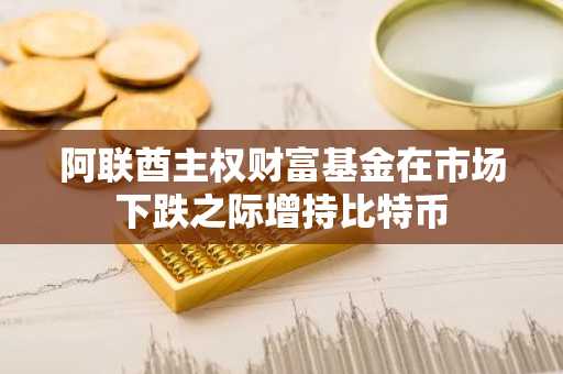 阿联酋主权财富基金在市场下跌之际增持比特币