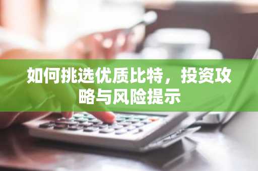 如何挑选优质比特，投资攻略与风险提示