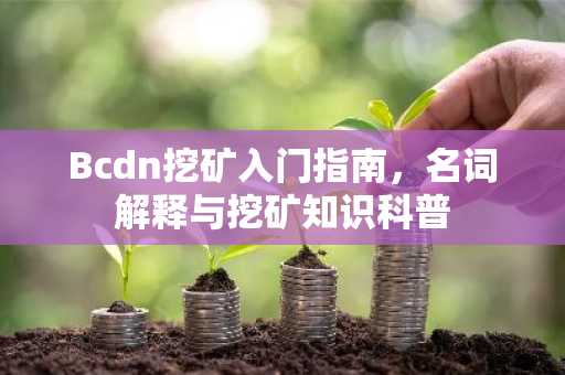 Bcdn挖矿入门指南，名词解释与挖矿知识科普
