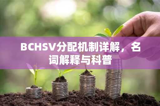 BCHSV分配机制详解，名词解释与科普