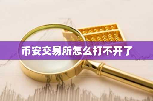 币安交易所怎么打不开了