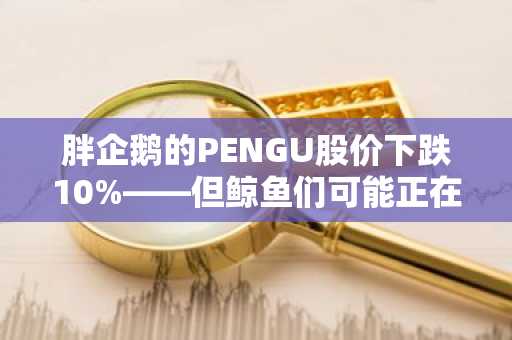 胖企鹅的PENGU股价下跌10%——但鲸鱼们可能正在逢低买入