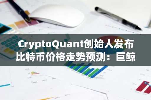 CryptoQuant创始人发布比特币价格走势预测：巨鲸抛售与宏观经济前景成关键